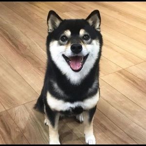 Meet your Posher, Ann